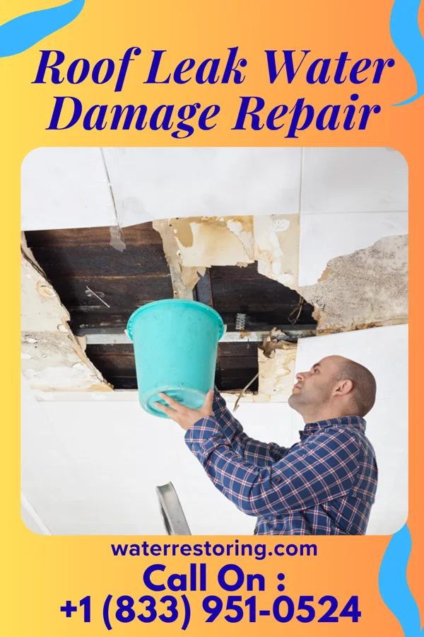 Roof Leak Water Damage Repair in Joplin, MO