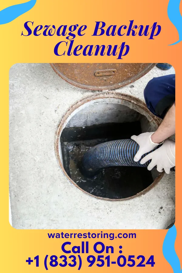 Sewage Backup Cleanup in Joplin, MO