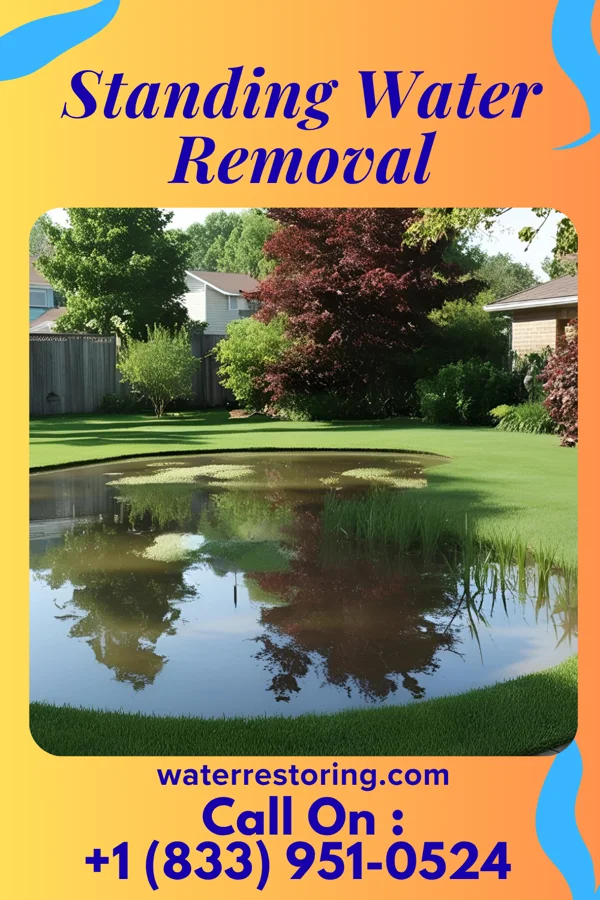 Standing Water Removal in Joplin, MO